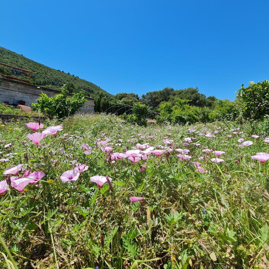 El Collado Villa Кулера Екстериор снимка